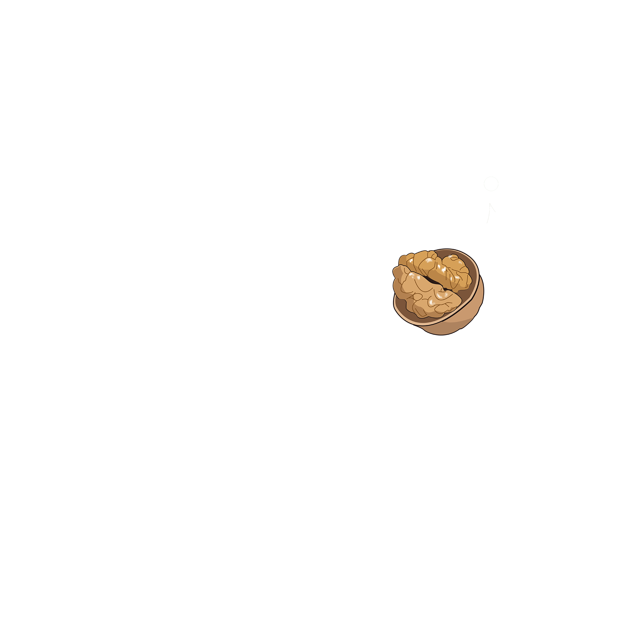 Logo Hamoli