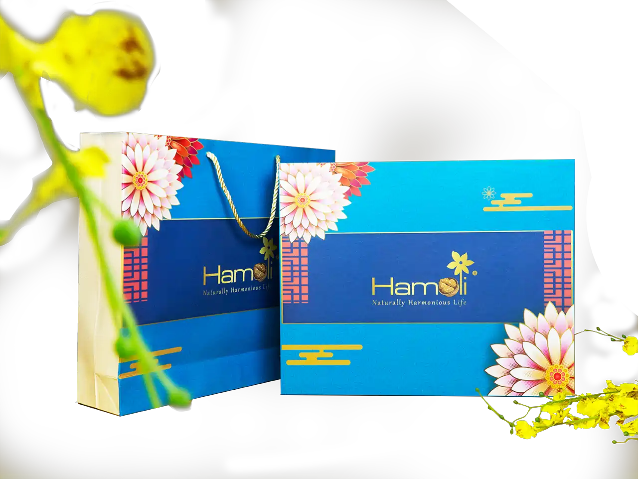 Hộp quà tết hạt dinh dưỡng Hamoli